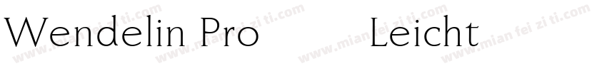 Wendelin Pro 45 Leicht字体转换
